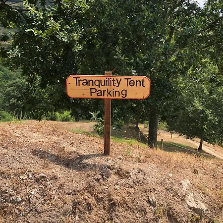 Tranquility Tent *